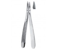 Extracting Forceps